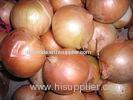 Professional Yellow Fresh Onion Large 90mm With ISO , HACCP , FDA 10kgs/ctn