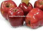 Delicious Sweet Red Apple With 18 KG - 72 , 80 , 96 , 112 Pieces