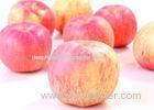Decorative Small 95% Fresh Fuji Red Apple , 9 KG - 28 , 32 , 36 , 40 Pieces