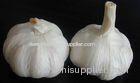 Plump Shaped 6.0 - 6.5cm Pure White Garlic With GAP , SGS , JAS