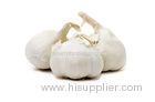 6.5cm No Root Organic Dry White Garlic With Small Mesh Bag Packing