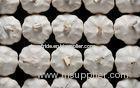 4.5cm - 5.0cm Spicy Fresh Normal White Garlic , No Black Mould