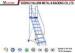 Durable Metal Mobile Ladder Stand For Order Picking / Work PlatformLadder