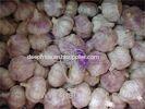 Healthy Pure White Garlic 500g * 20 Bags / Carton , 250g * 40 Bags
