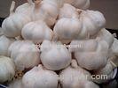 New Crop Fresh Pure White Garlic 5cm 5.5cm for Southeast Asia , Middle East