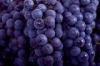 Chinese Globe Juicy Fresh Red Seedless Grapes 9KG / Foam ctns
