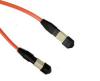 MPO-MPO Multmoxe OM2 fiber patch cord