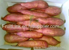 Egyptian Sweet Potatoes by fruit link