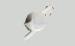 Small Black Retractable iPhone 5s Charger / Retractable iPhone Car Charger