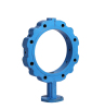 Ductile Iron BS Butterfly Valve Casting Parts