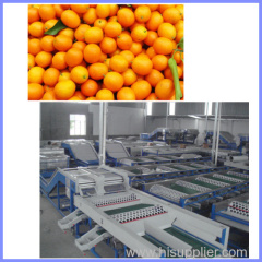 Cherry tomato grading machine dates grading machine