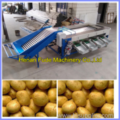 Garlic grading machine potato grading machine