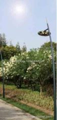 Aluminum Garden Lighting Pole M-TY03