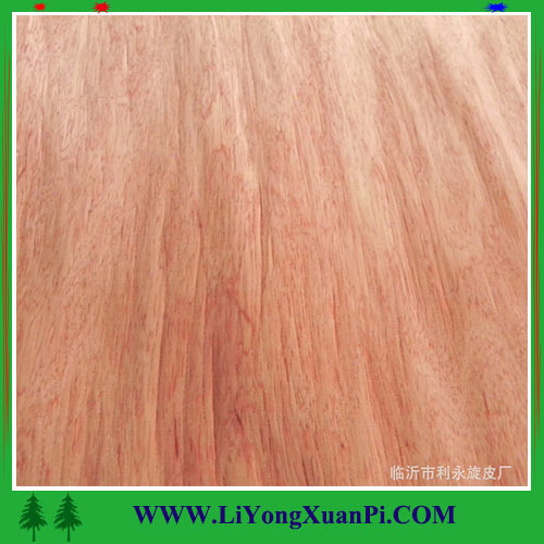 Cheap wood veneer face for plywood 