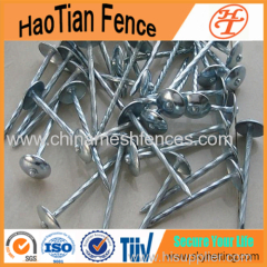 2'' Galvanized Roofing Nails With Umbrella Head ( Direct Factory!)