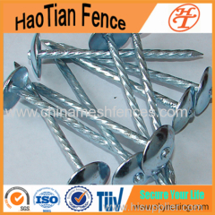 2'' Galvanized Roofing Nails With Umbrella Head ( Direct Factory!)