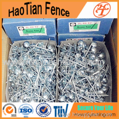 2'' Galvanized Roofing Nails With Umbrella Head ( Direct Factory!)