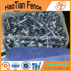 2'' Galvanized Roofing Nails With Umbrella Head ( Direct Factory!)