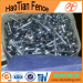 Roofing Nails Fastening Building Materials( Direct Factory!)