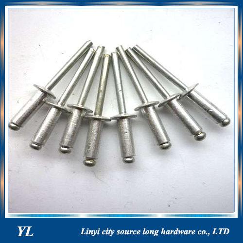 Stainless steel large flange head blind rivets