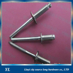 Customized special head blind rivet
