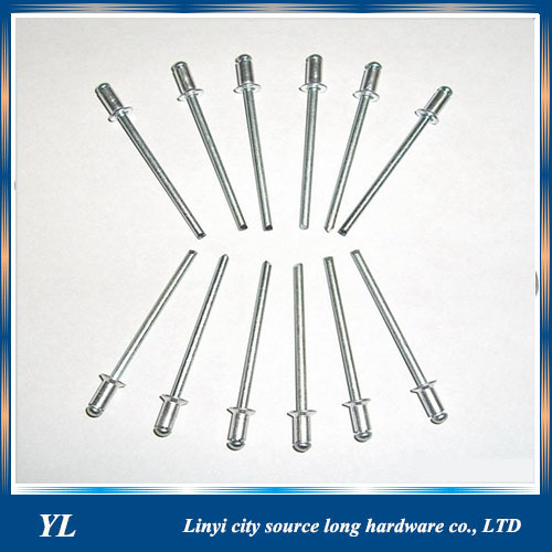 Professional manufacture of aluminum stainless steel blind rivet