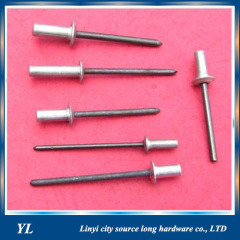 Stainless Steel Open Type Blind Rivet with Large Flange