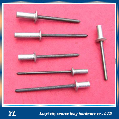 Suppliers of professional design stainless steel sealed type blind rivet