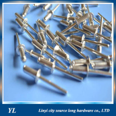 Stainless Steel Open Type Blind Rivet with Large Flange