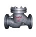 Carbon Steel GOST Check Valve Body Casting Parts OEM
