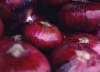 Egyptian Red Onions by Fruit link