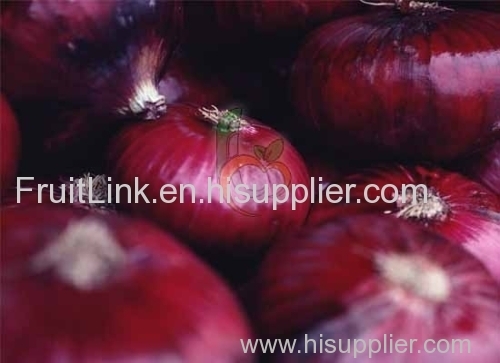 Egyptian Red Onions by Fruit link