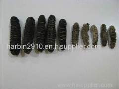 Top quality frozen and dried sea cucumber for sale