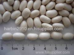 Red and white kidney beans for sale