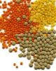 Red, Brown and yellow lentils for sale