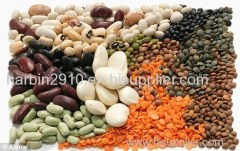 Red, Brown and yellow lentils for sale