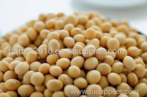 Good quality soya beans for sale