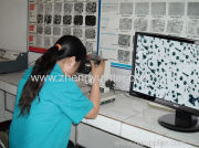 Metallographic analyzer