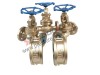 Api600 Bronze Valves .