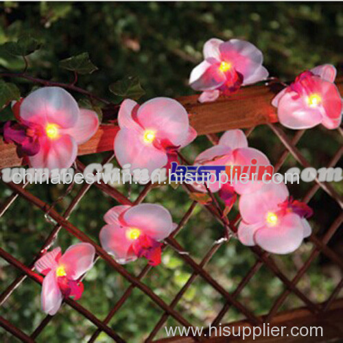 Solar String Lights Pea - blossom