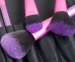 Nylon Hair 12pcs Makeup Brush with Snak Pattern Pouch