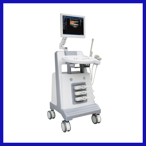 Color Digital Trolley Ultrasound System