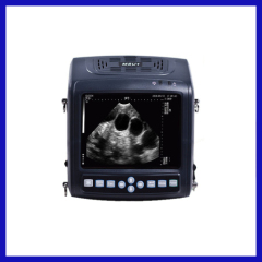 Portable laptop handheld veterinary ultrasound equipment with best price and best quality