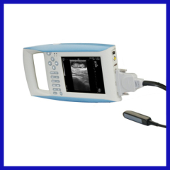 Portable laptop handheld veterinary ultrasound scanner for hospital
