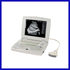 CE Approved Laptop ultrasound veterinary portable
