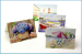 Direct Factory Supply Custom Greeting Card Greeting Card Printing Handmade Birthday Card