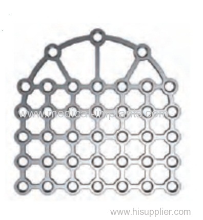 internal fixation Ti Plate System