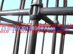 Useful and Portable High Quality Construction Cuplock Scaffolding