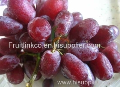 Egyptian crimson grapes by fruit link