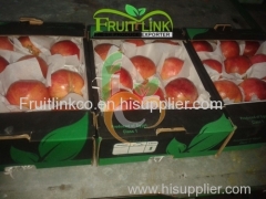 Fresh Egyptian pomegranates by fruit link